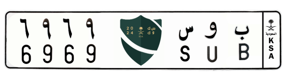 لوحة ب و س 6969